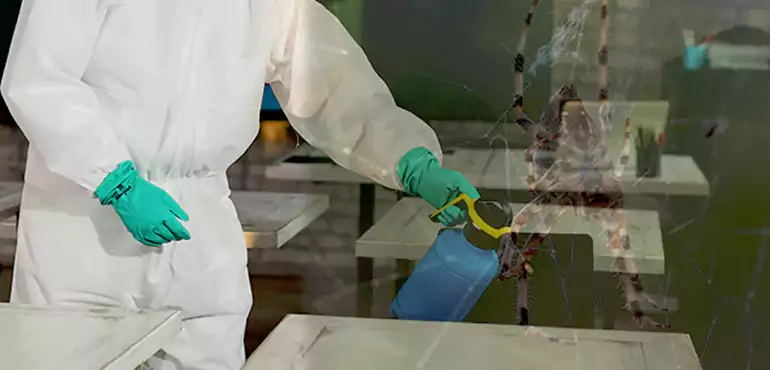 Why Buyers Still Want Homes With Pest Infestations in Apex, NC?