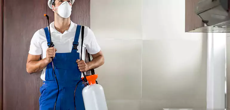 Why Apex Homeowners Choose Us When Pests Make Selling Difficult