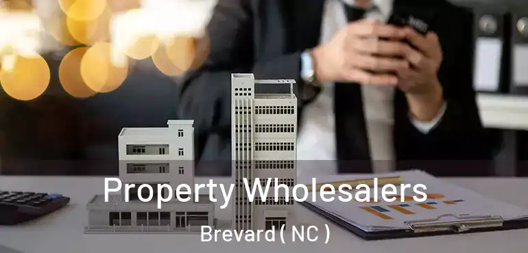  Property Wholesalers Brevard ( NC )