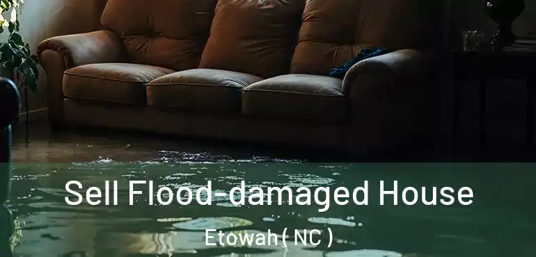  Sell Flood-damaged House Etowah ( NC )