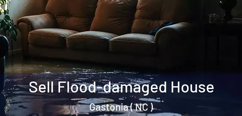  Sell Flood-damaged House Gastonia ( NC )