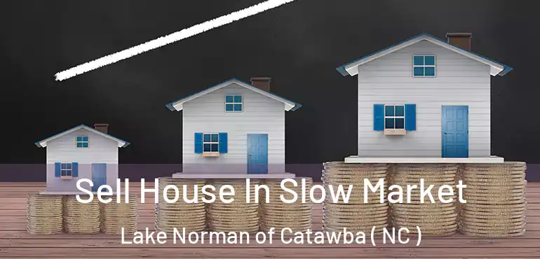  Sell House In Slow Market Lake Norman of Catawba ( NC )