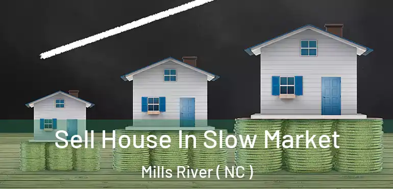  Sell House In Slow Market Mills River ( NC )