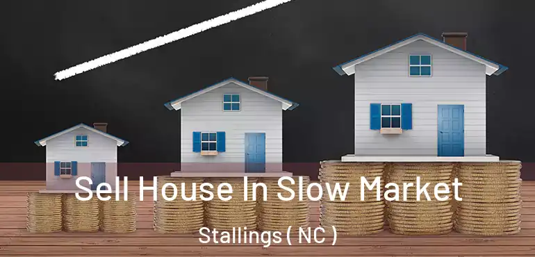  Sell House In Slow Market Stallings ( NC )