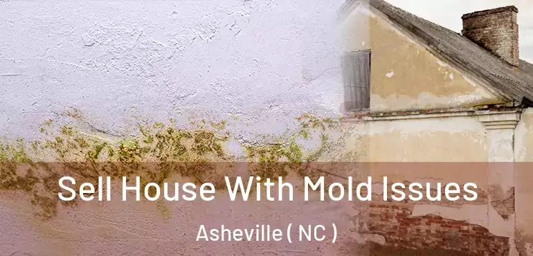  Sell House With Mold Issues Asheville ( NC )
