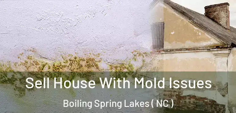  Sell House With Mold Issues Boiling Spring Lakes ( NC )