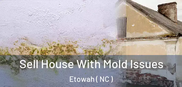  Sell House With Mold Issues Etowah ( NC )
