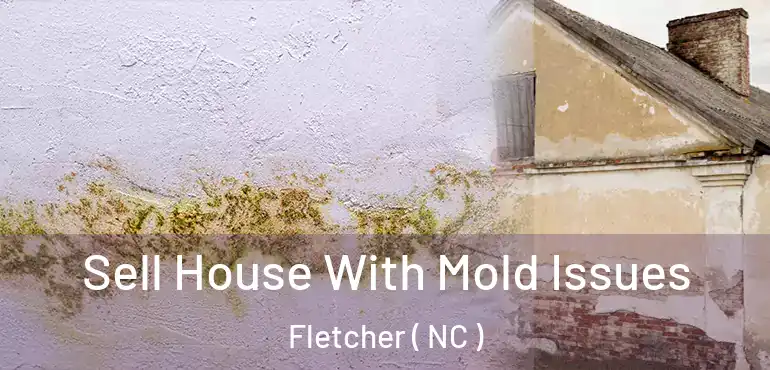  Sell House With Mold Issues Fletcher ( NC )