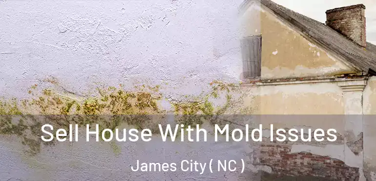  Sell House With Mold Issues James City ( NC )