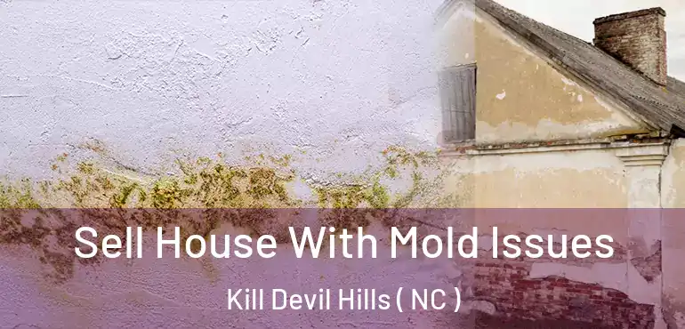  Sell House With Mold Issues Kill Devil Hills ( NC )