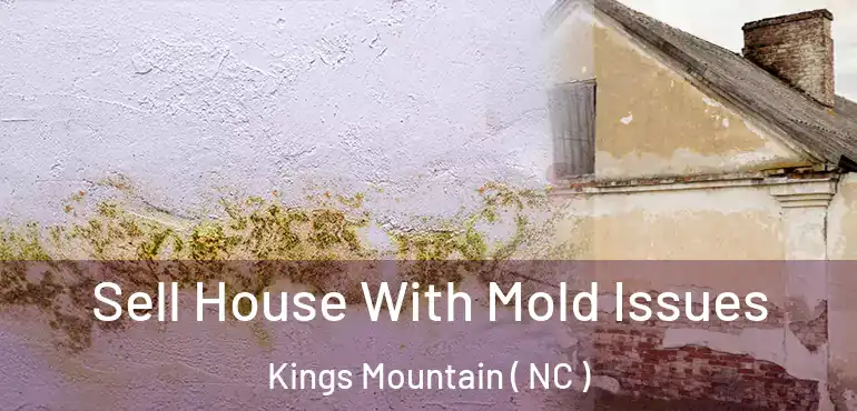  Sell House With Mold Issues Kings Mountain ( NC )