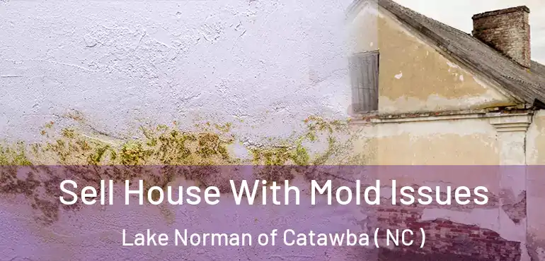  Sell House With Mold Issues Lake Norman of Catawba ( NC )