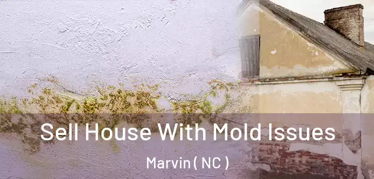  Sell House With Mold Issues Marvin ( NC )