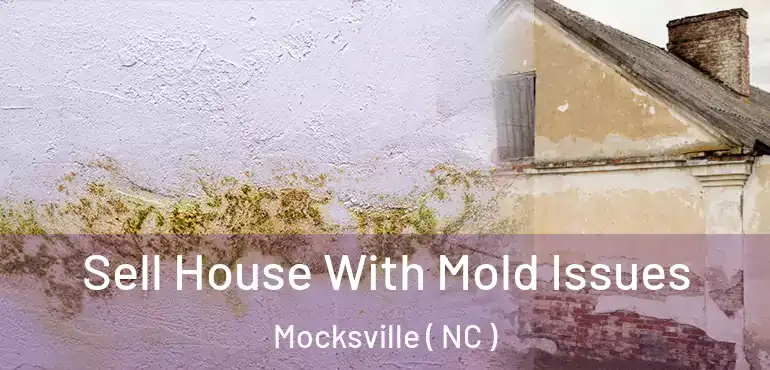  Sell House With Mold Issues Mocksville ( NC )