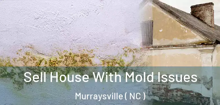  Sell House With Mold Issues Murraysville ( NC )
