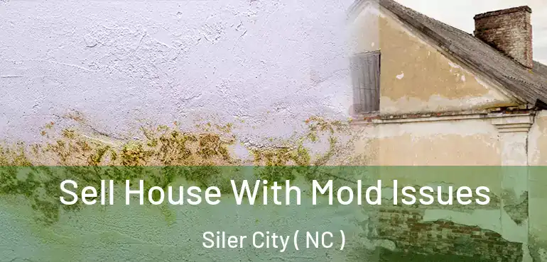  Sell House With Mold Issues Siler City ( NC )
