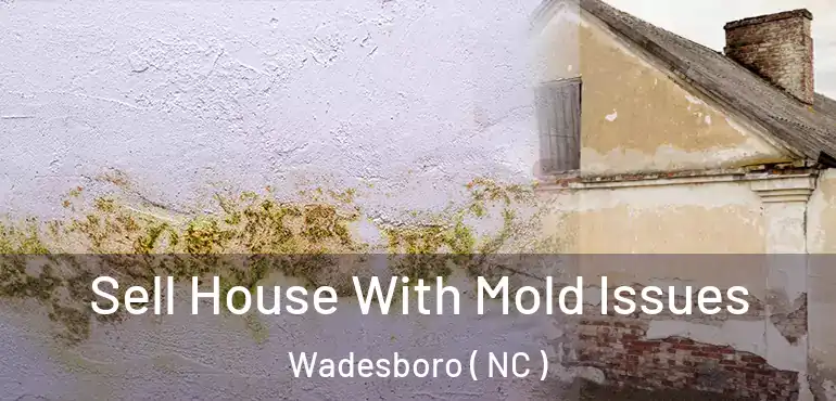  Sell House With Mold Issues Wadesboro ( NC )