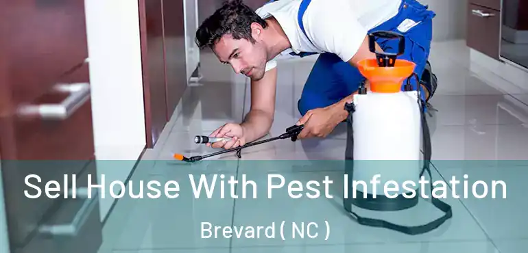  Sell House With Pest Infestation Brevard ( NC )