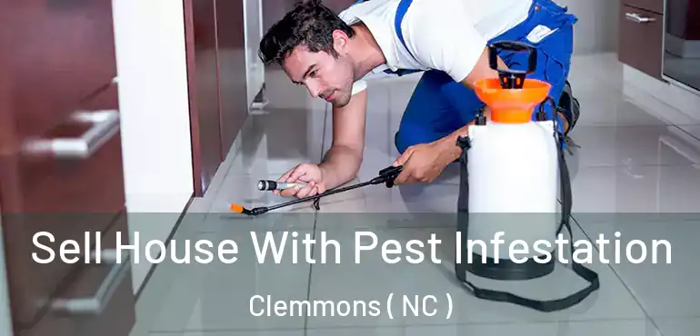  Sell House With Pest Infestation Clemmons ( NC )