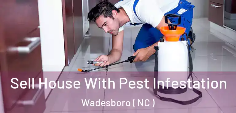  Sell House With Pest Infestation Wadesboro ( NC )