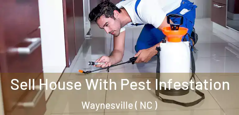  Sell House With Pest Infestation Waynesville ( NC )