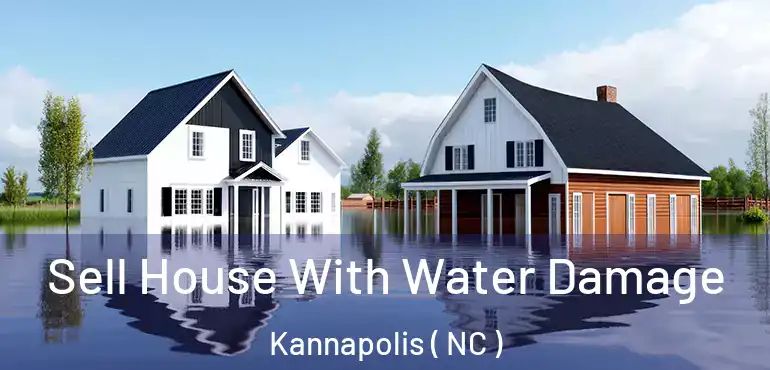  Sell House With Water Damage Kannapolis ( NC )